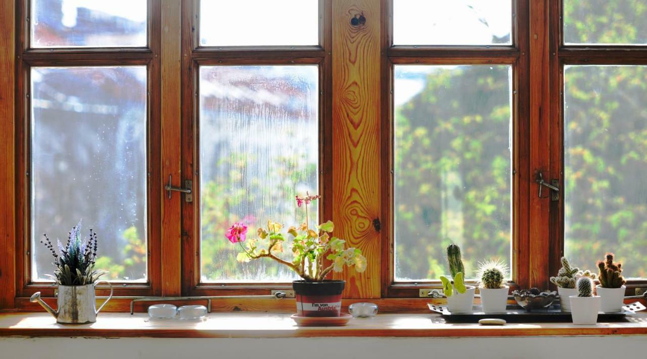 Appartement Vienna's Most Charming *